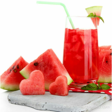 watermelon melon juice processing machine